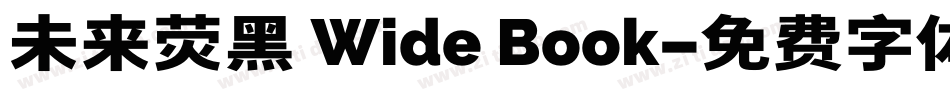 未来荧黑 Wide Book字体转换